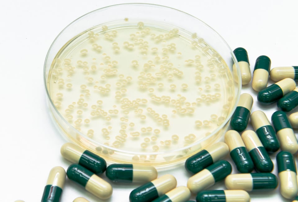 What are superbugs and are Hispanics in danger?