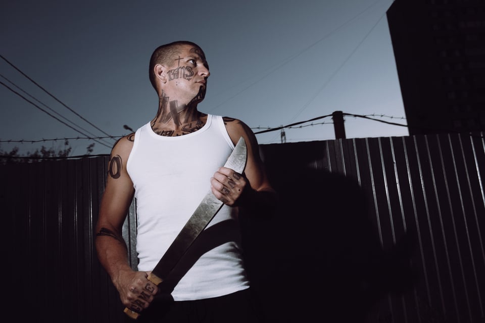 Advierten de una posible llegada de ‘La Mara Salvatrucha’ a México featured image