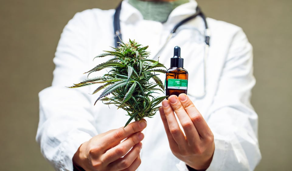 Avances médicos: cómo la marihuana está cambiando la atención sanitaria