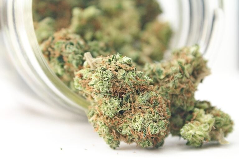 Estado de EEUU legaliza la marihuana como uso recreativo