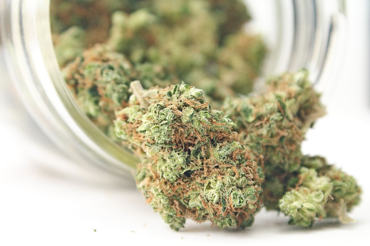 Estado de EEUU legaliza la marihuana como uso recreativo
