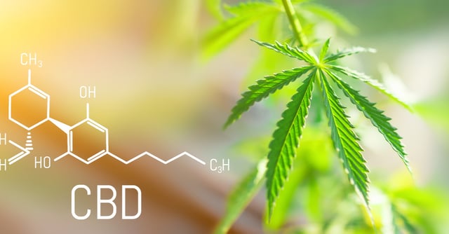CBD: 15 increíbles beneficios que cambiarán tu vida