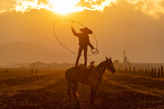 Hija de El Charro causa polémica tras comentarios en redes