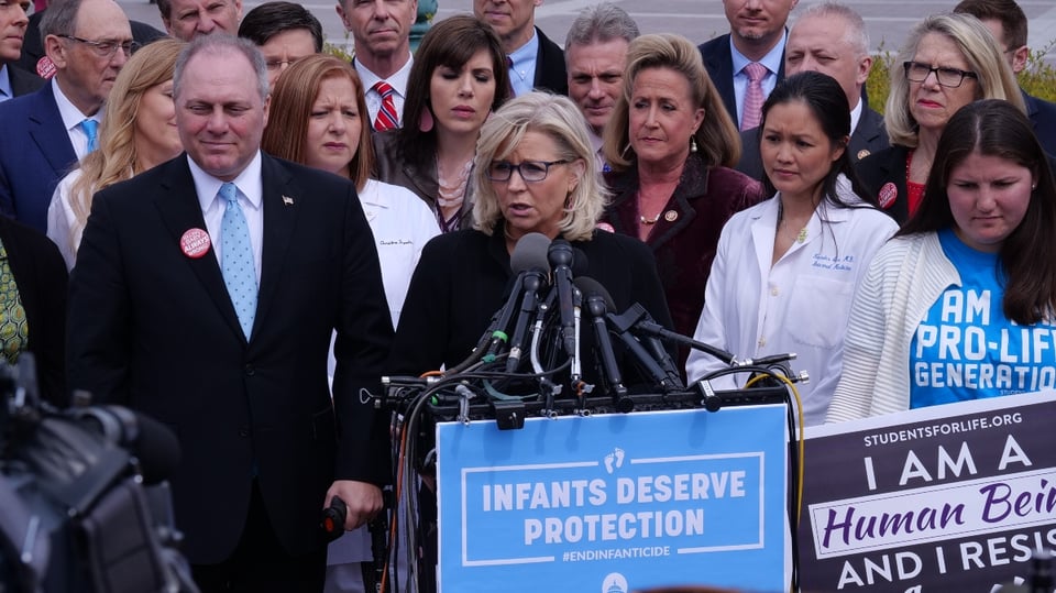 La rival de Donald Trump, Liz Cheney pierde las primarias republicanas