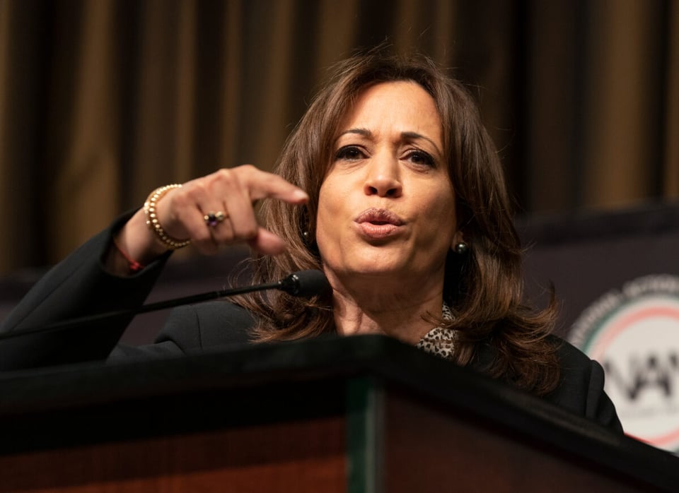 Kamala Harris, Joe Biden, Democrats, USA, Elections