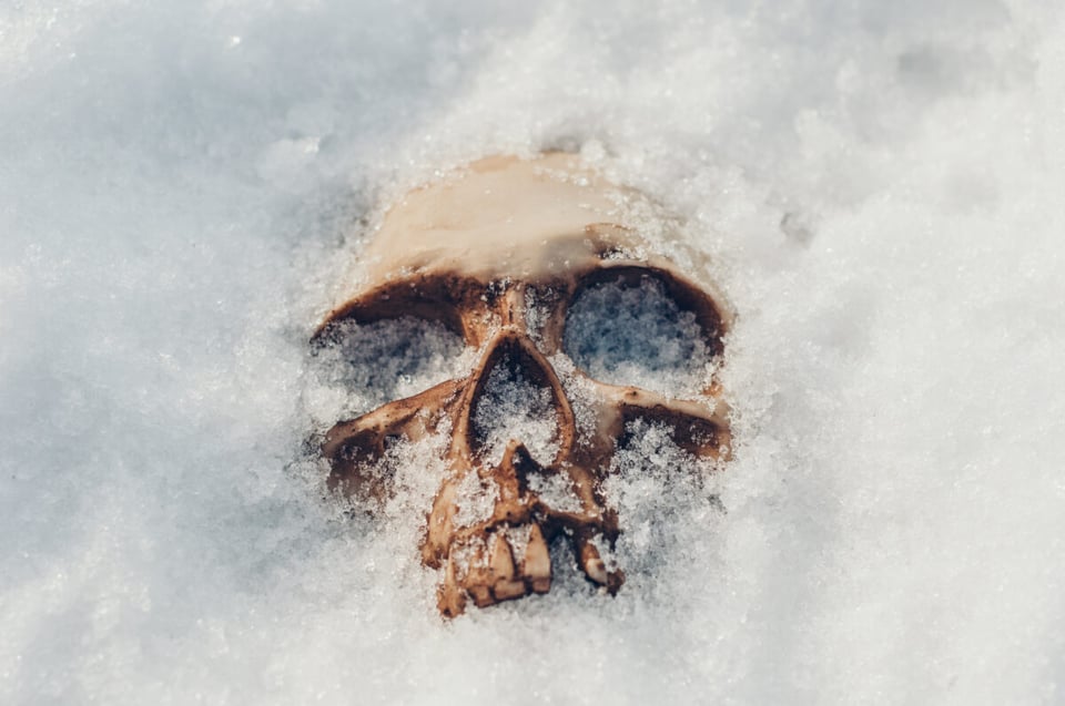 Sobreviviente, Calavera, Esqueleto, Nieve, Frío