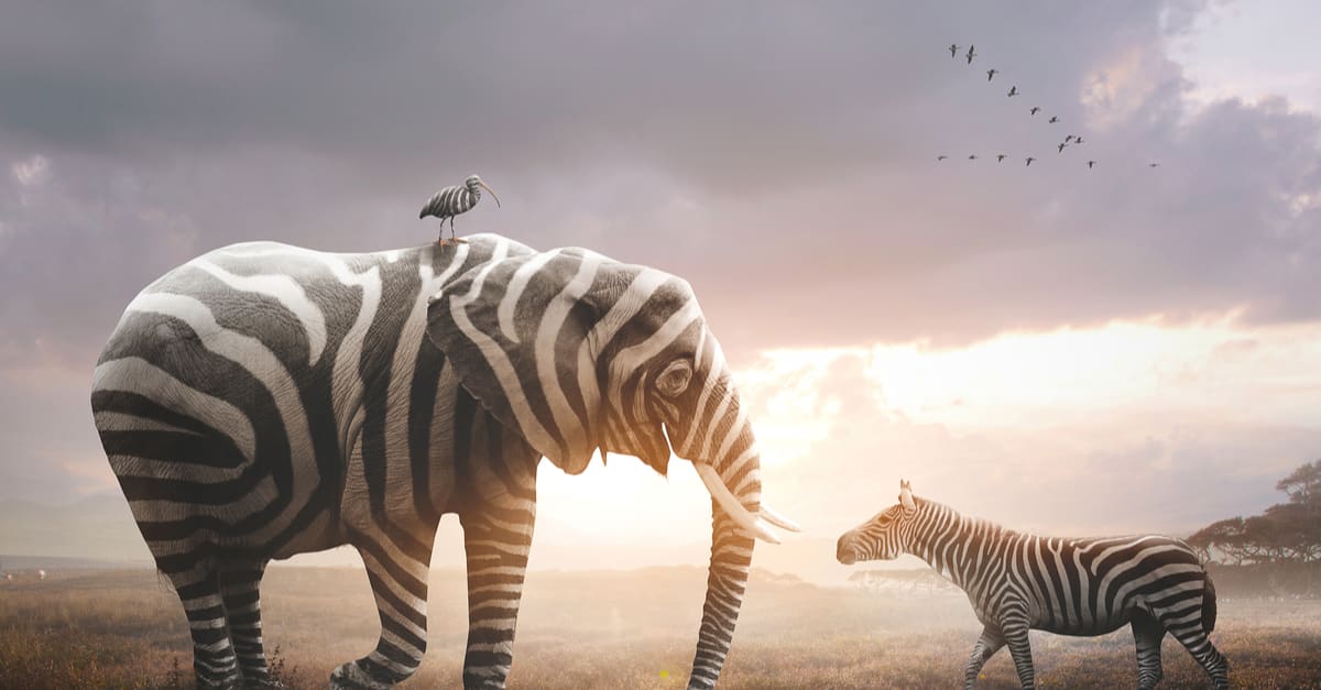 How to Be Creative: 10 Ways to Unhinge & Explore