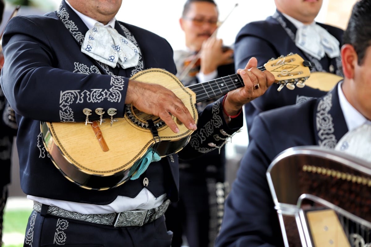 Le dicen ‘gordita’ a La Mayrita y estalla El Charro que humilló a inmigrantes