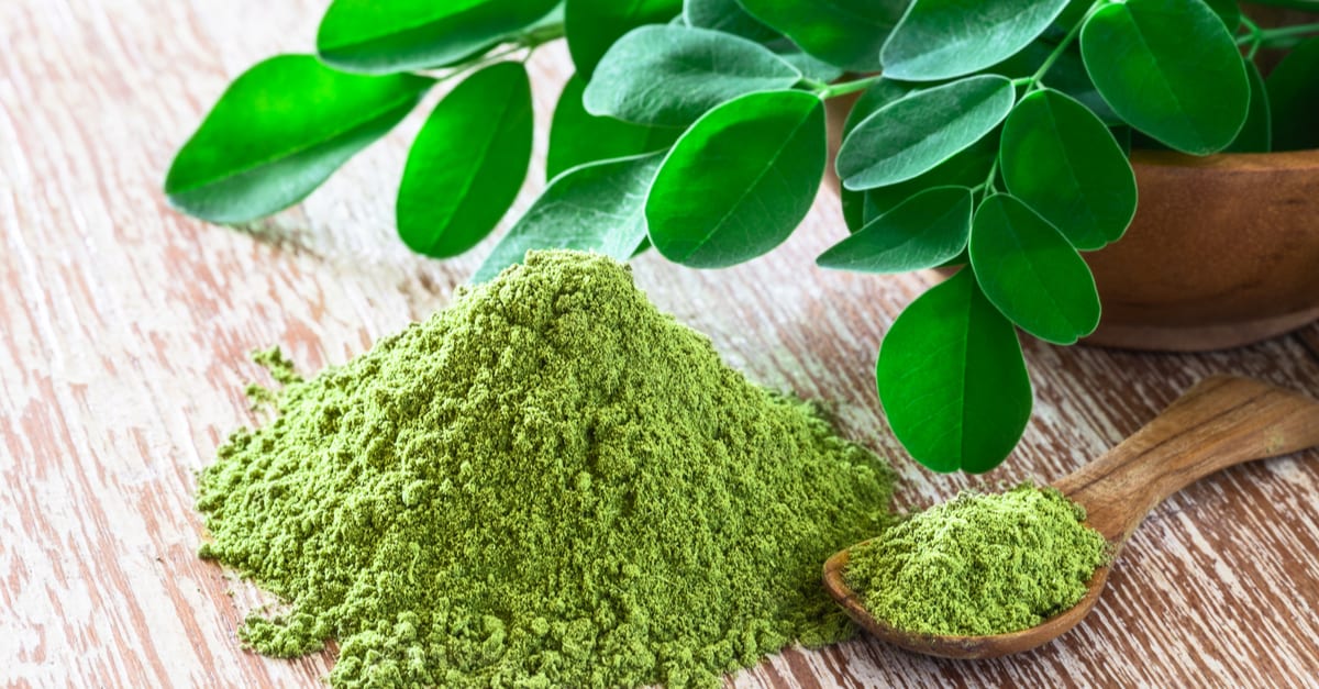 8 Reasons Why Everyone is Talking About the Moringa Tree