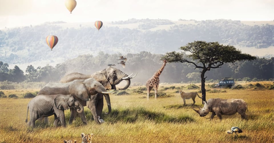 The meaning of dreams: Animal dreams explained