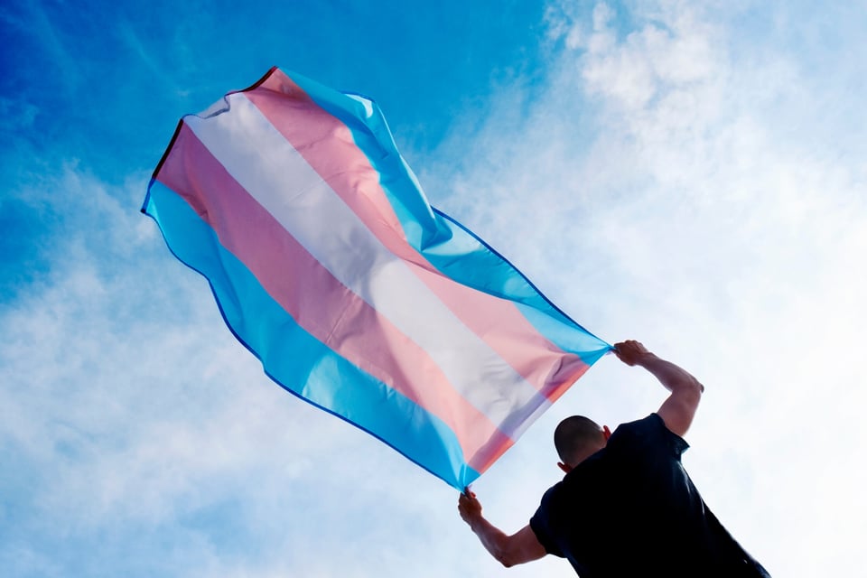 Bandera transgénero