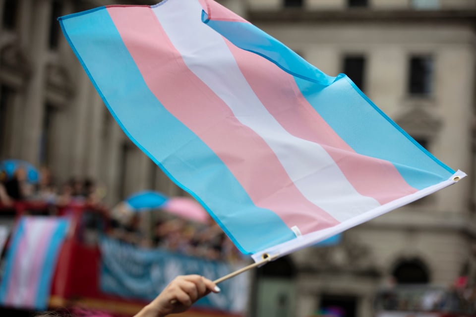 Tipos de transición de género: ¿Cuáles son sus etapas? featured image