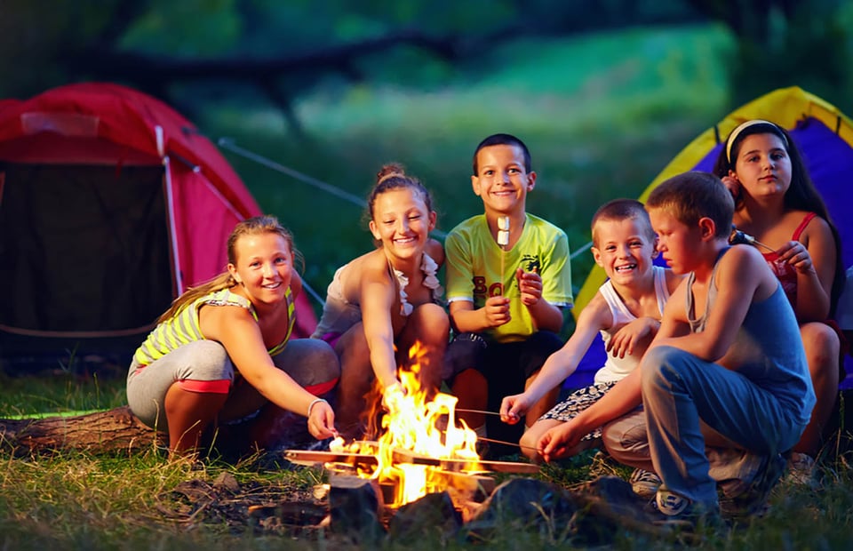 group, happy, kids, roasting marshmallows, campfire