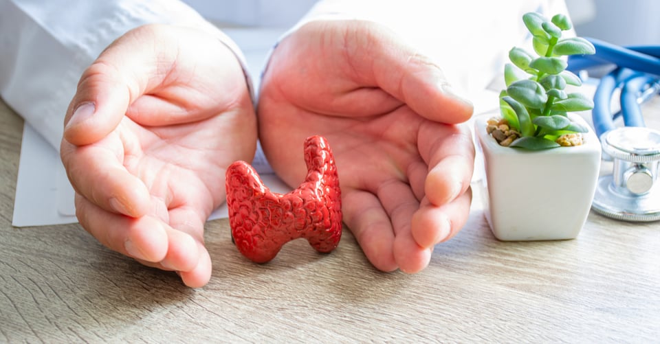 ¡Dieta para la tiroides! 15 alimentos para la salud tiroidea
