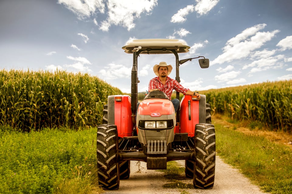 From farm to table: The essential guide to organic cooking