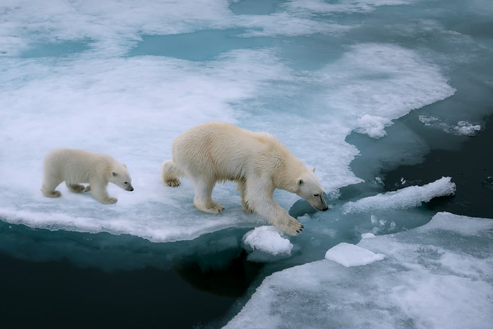 Expertos alertan final climático 