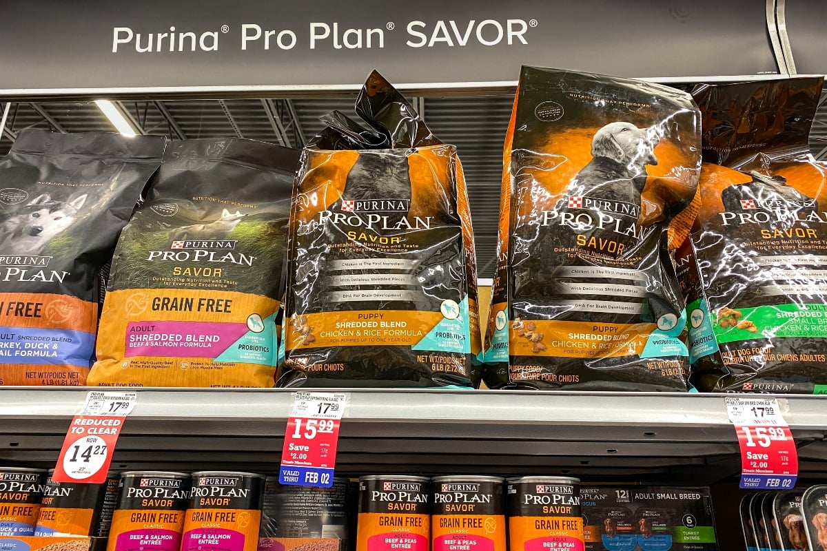 Emiten recall de alimentos para perros por peligroso