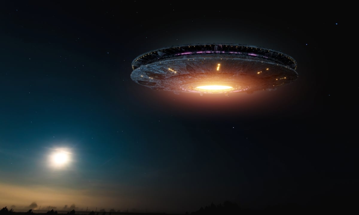 Encuentran extraña criatura 'extraterrestre' en plena calle