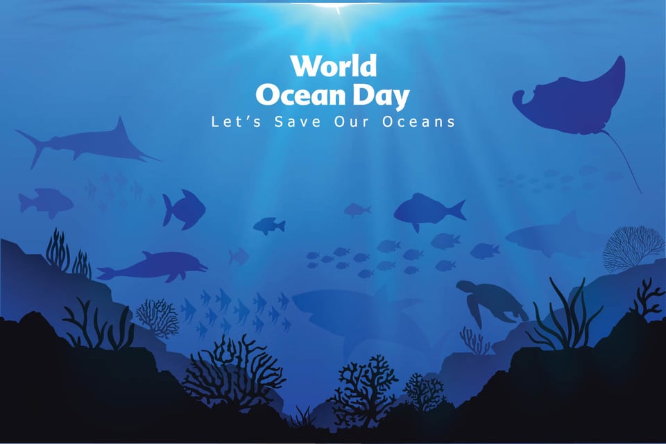 Practical steps to make a difference on World Oceans Day