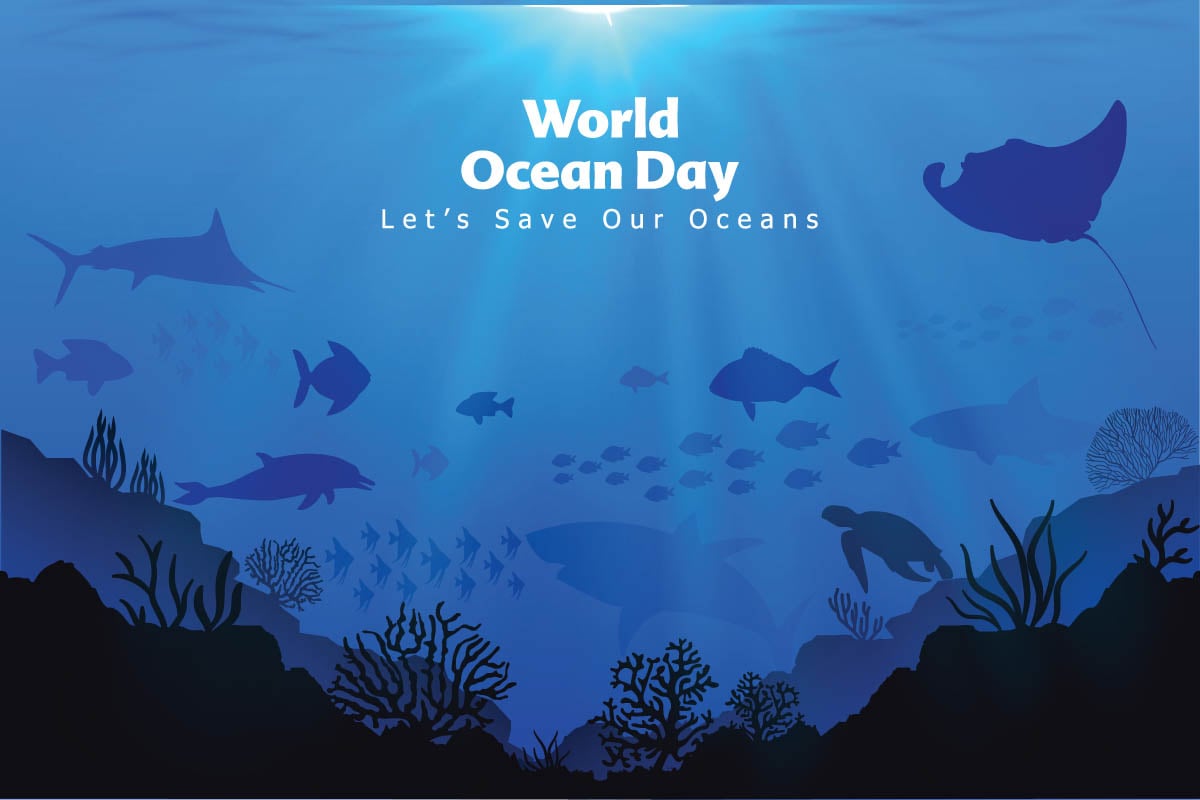 Practical steps to make a difference on World Oceans Day