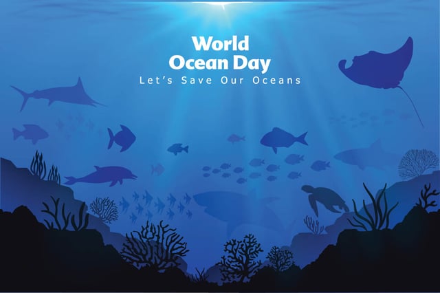 Practical steps to make a difference on World Oceans Day