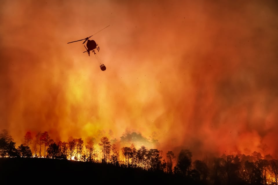 incendio, incendios forestales, Canadá, revelaciones, MundoNOW