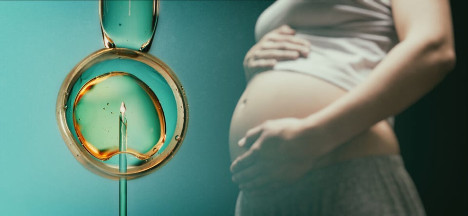 Embarazos múltiples, Apoyo emocional, Estrés, Incertidumbre, Clínicas de reproducción asistida