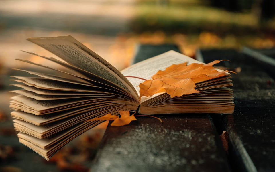 Novelas escritas por autoras latinas