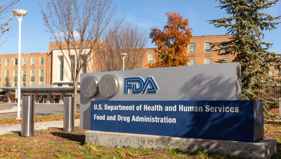 FDA confisca alimentos expuestos a roedores, insectos y aves