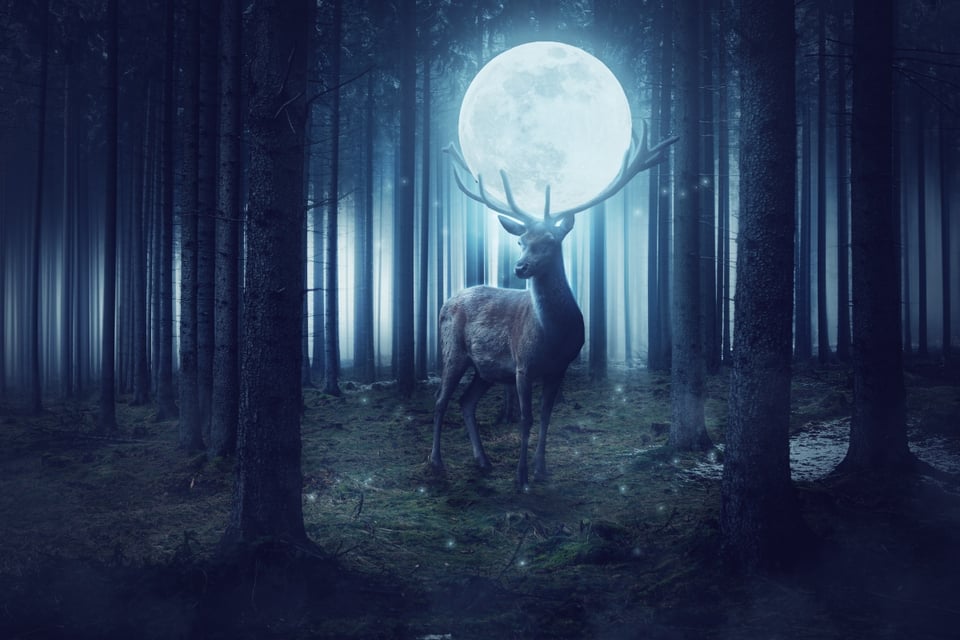 When and where to see the Stag Moon
