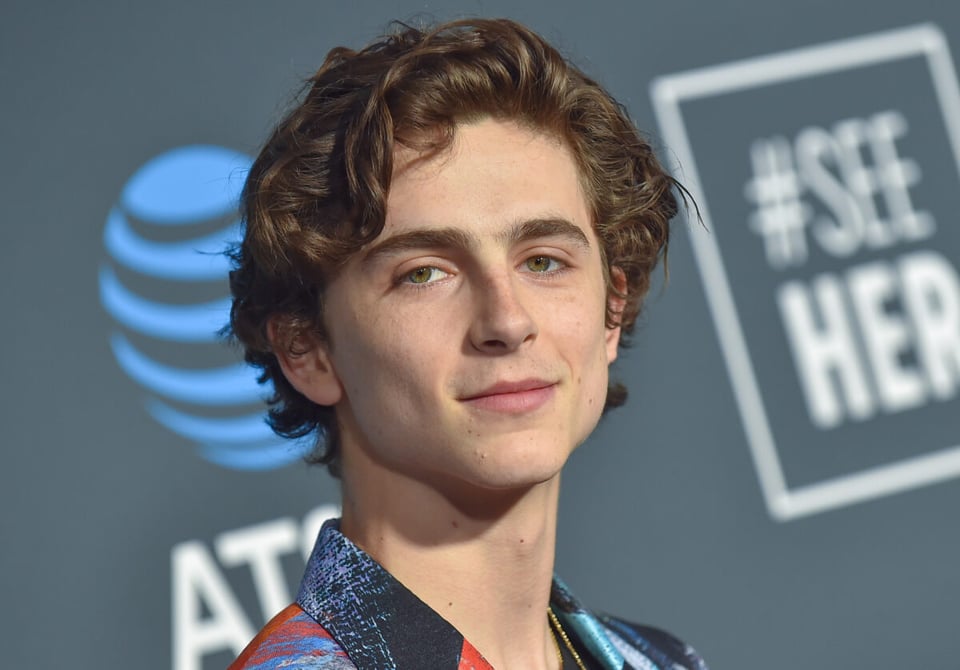 Timothée Chalamet, actor, galán, cine, películas