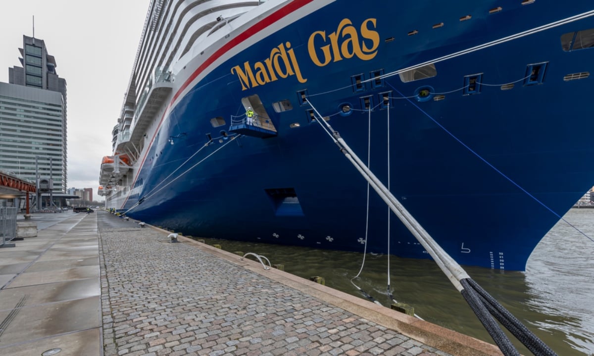 Inician búsqueda de hombre que saltó de crucero en Florida y desapreció