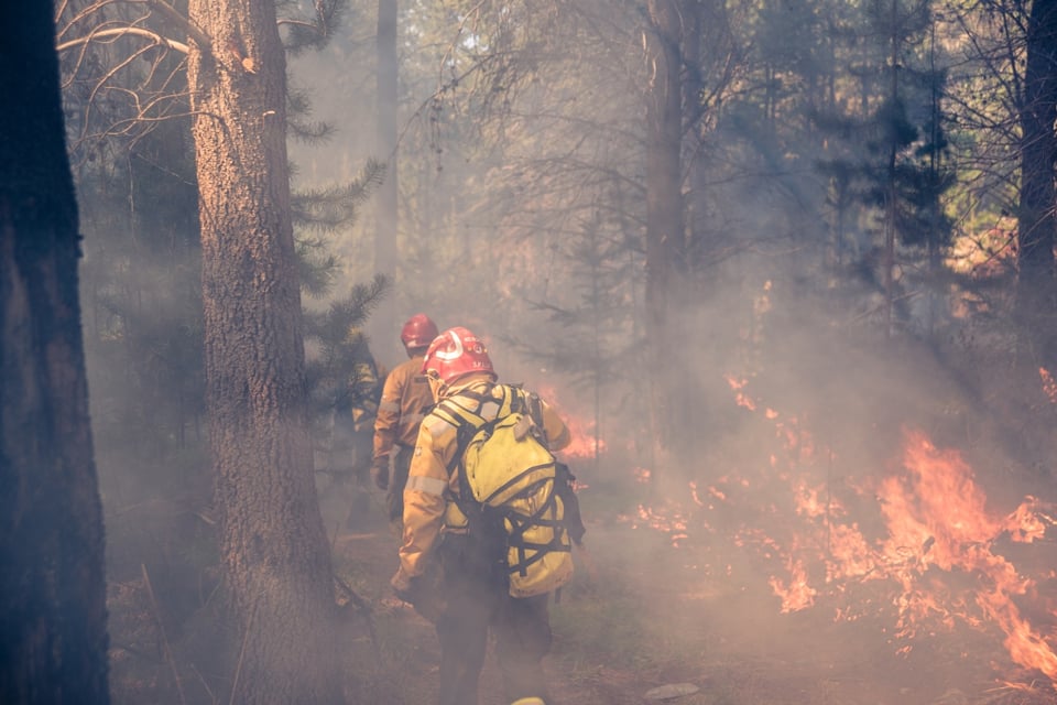 Bomberos luchan para apagar las llamas