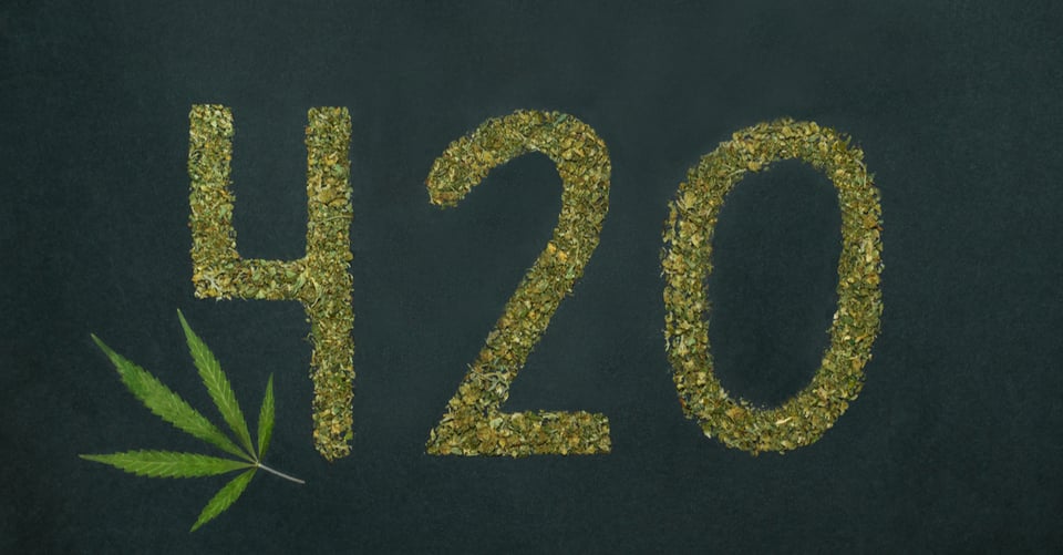 ¿Qué significa 420? featured image