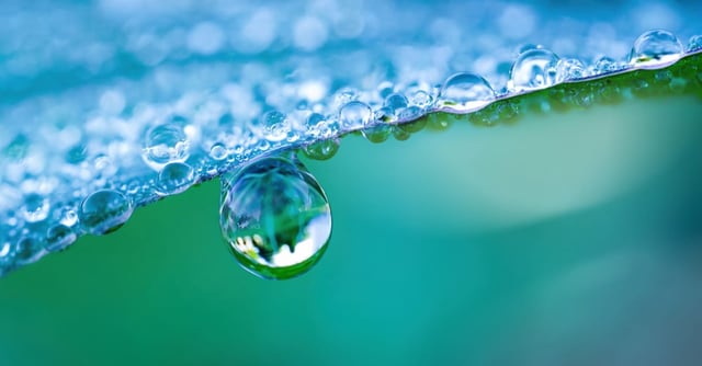 Drink water first thing in the morning: 10 incredible benefits