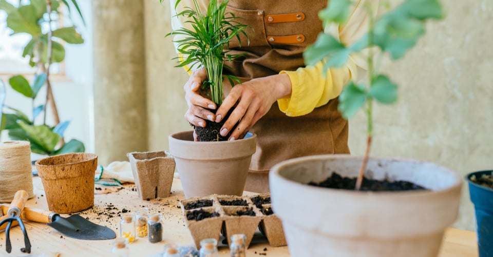 Haz cosas: 14 razones por las que tener tus propios hobbies es bueno para tu relación featured image