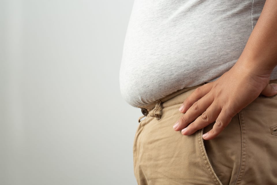 Causas y prevención de la grasa abdominal Causas y prevención de la grasa abdominal