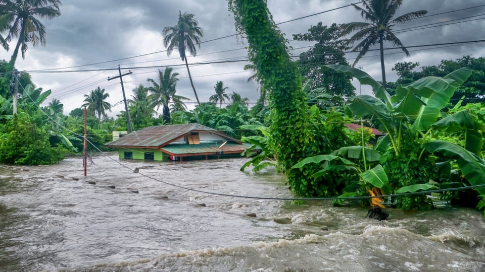 selva, inundación, agua, lluvias, tomernta