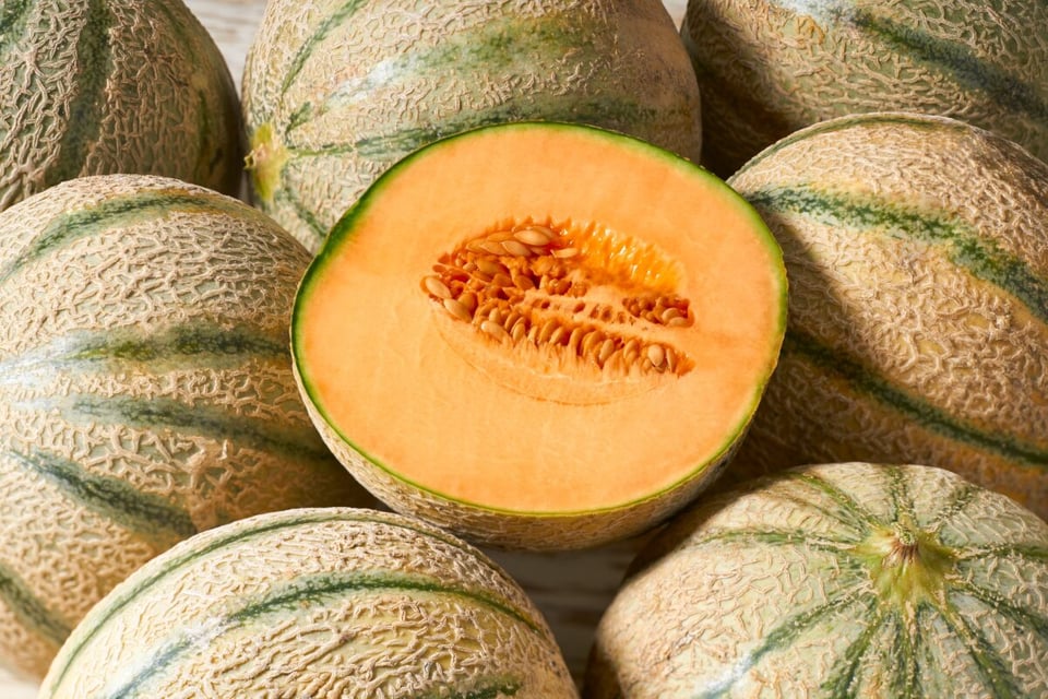 orgánico, melón, fruta, semillas, MundoNOW