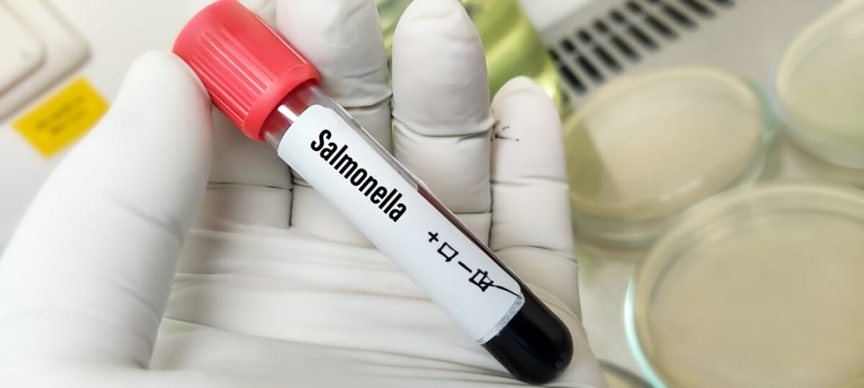 fever, abdominal cramps, recovery, infection, illness, 