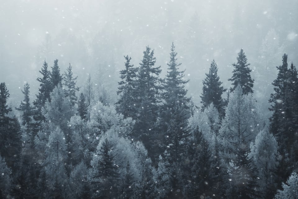 Tormenta invernal, nieve, heladas, EEUU, MundoNOW