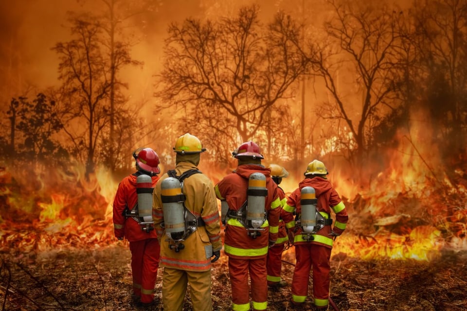 incendio, autoridades locales, llamada de emergencia, bomberos voluntarios, mundonow