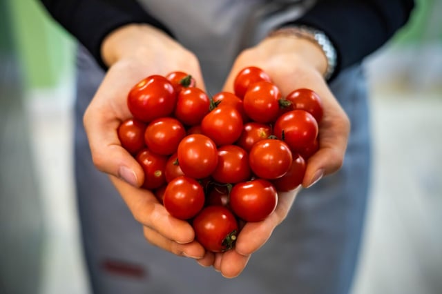 Día de los vegetales: 4 que no pueden faltar en tu alacena