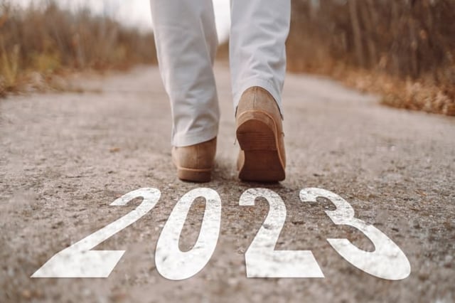 What will happen in 2023? Vieira Vidente shares her predictions