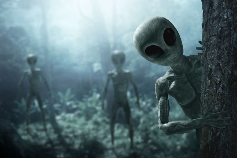 TikTok time traveler predicts terrifying alien invasion