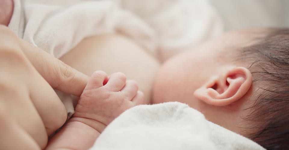 baby suckling