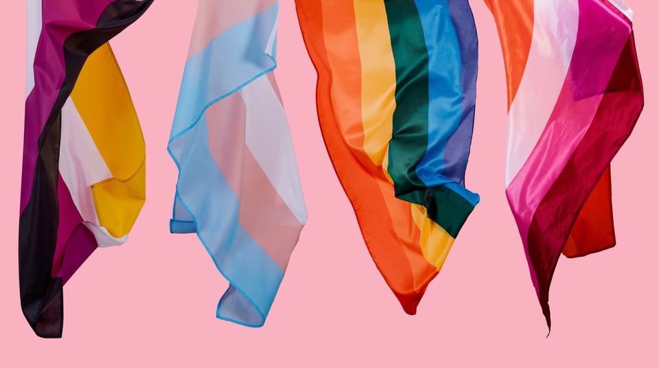 LGBTQ+ flag
