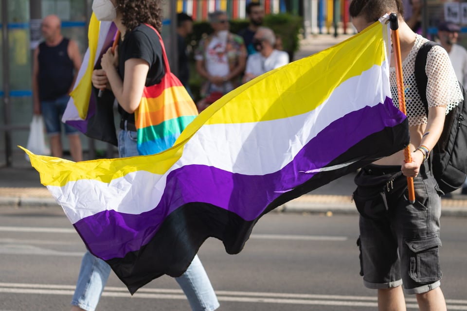 lgbt flag, lgbt rights, march, protest, pride