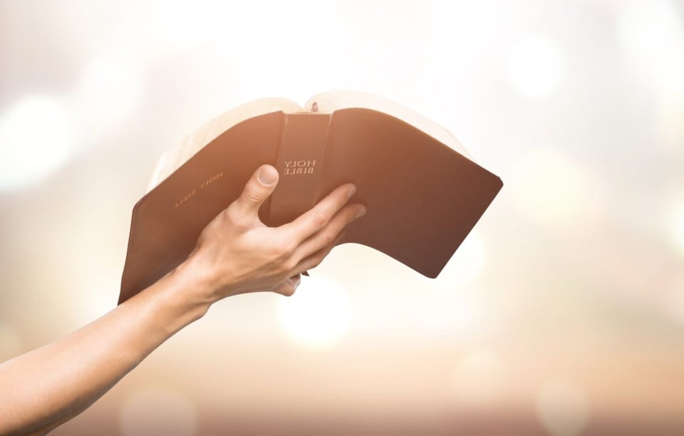 biblia, salmo, credo, religión, católico