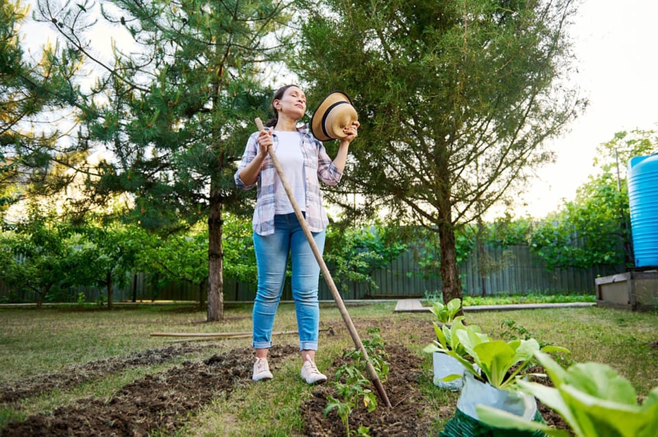Día Internacional del Medio Ambiente, Día de la Tierra, plantación, agricultura, manos.